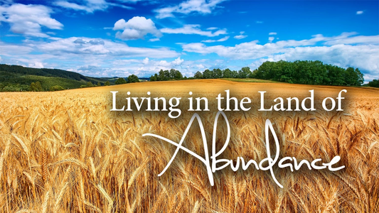 Living In The Land Of Abundance
